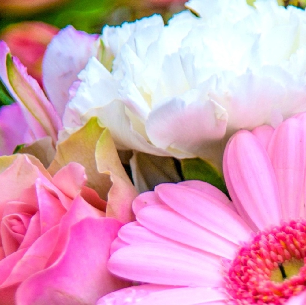 Meet your Posher, Victoria